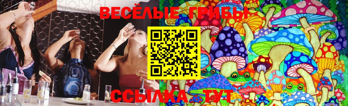 Дербент  Галлюциногенные грибы Psilocybine cubensis  Псилоцибиновые грибы Psilocybe  Вход с VPN 